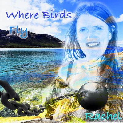 Where Birds Fly