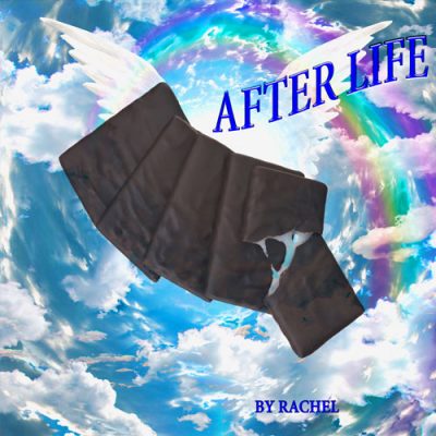 After Life